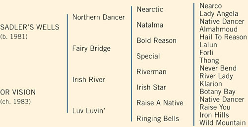 Pedigree of Saffron Walden standing at Rossenarra Stud, Kells, County Kilkenny, Ireland